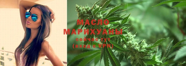 сатива Надым