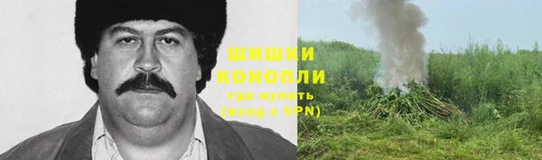 сатива Надым