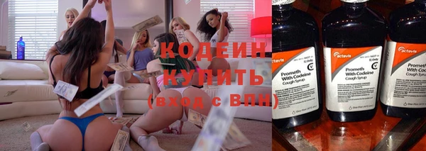 сатива Надым