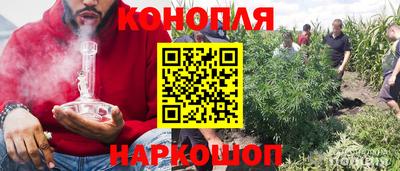 гидра Азнакаево