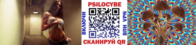 Псилоцибиновые грибы Psilocybe  Абакан 