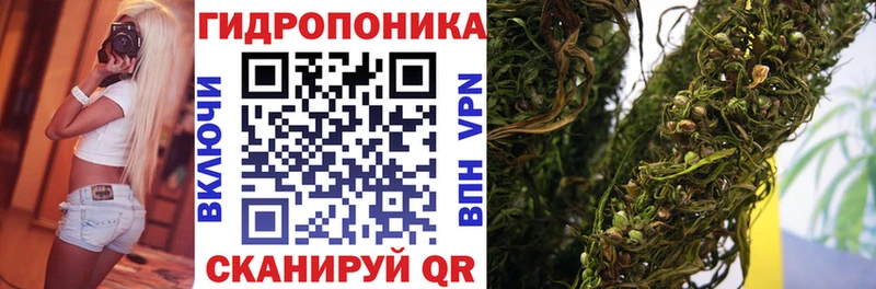 Конопля SATIVA & INDICA Абакан